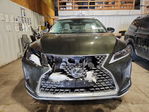 Lexus RX 2021