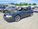 Ford Mustang 2002