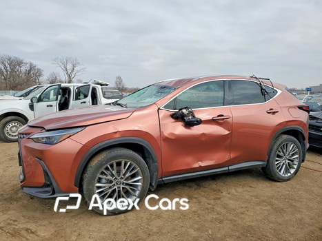 Lexus NX 2025 - Image 1 of 13