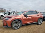 Lexus NX 2025
