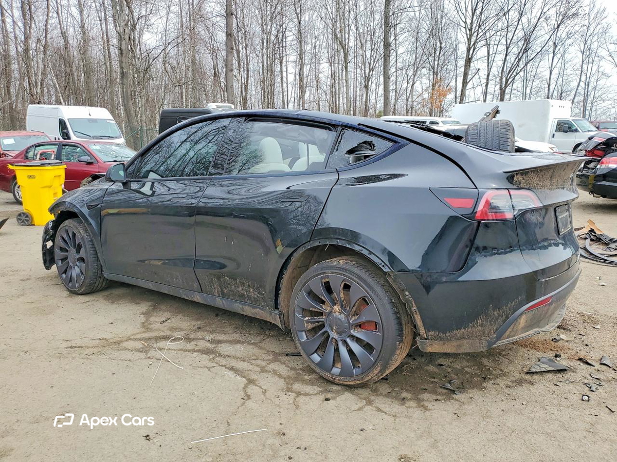 Tesla Model Y 2024