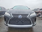 Lexus RX 2021