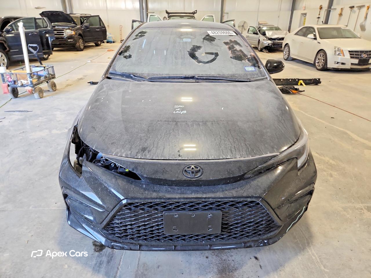 Toyota Corolla 2023