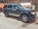 Ford Escape 2008