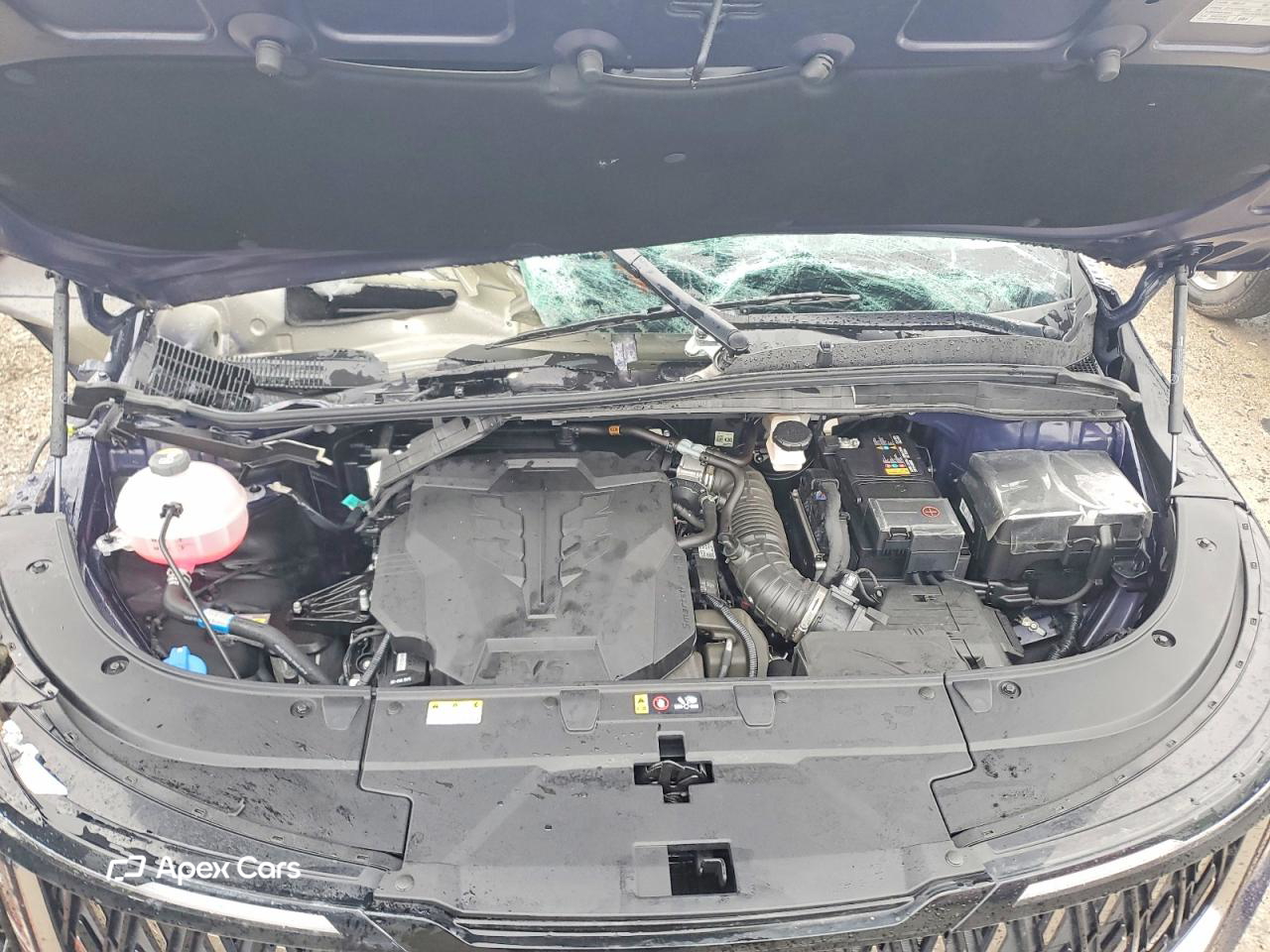 Kia Carnival 2025