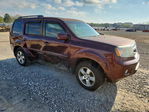 Honda Pilot 2011
