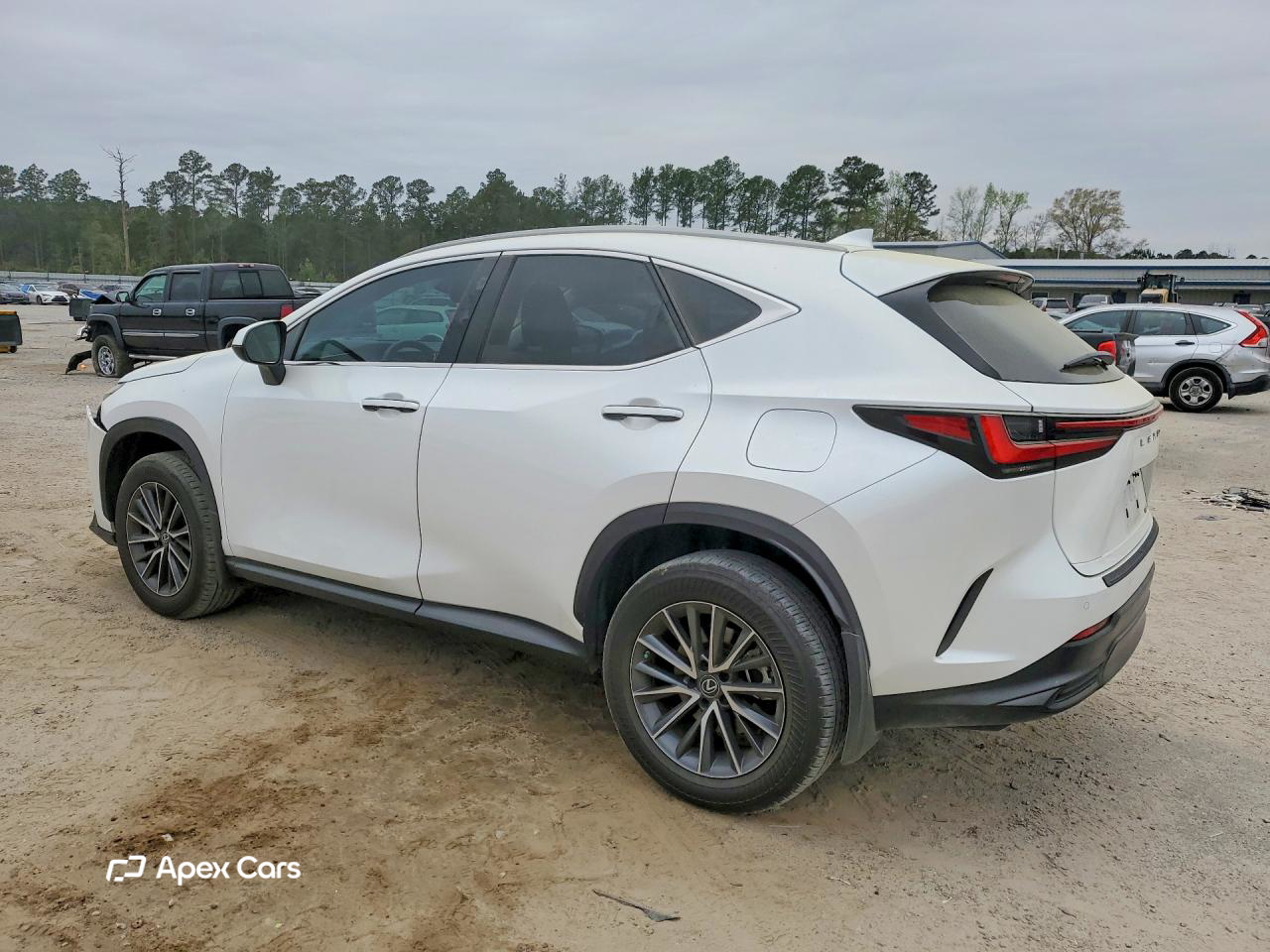 Lexus NX 2023