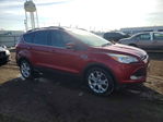Ford Escape 2013