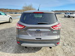 Ford Escape 2013