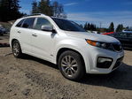 Kia Sorento 2012