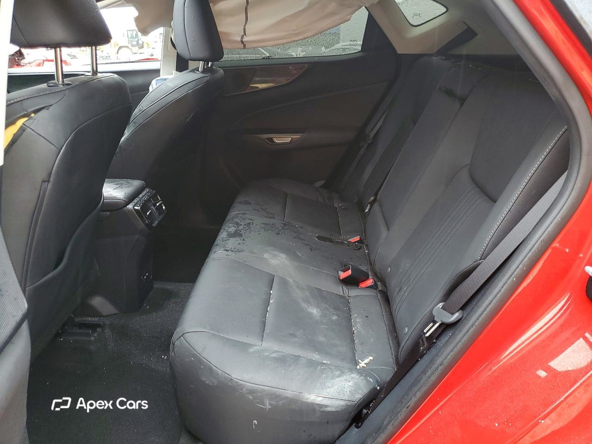 Lexus NX 2024