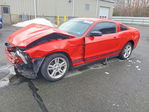 Ford Mustang 2011