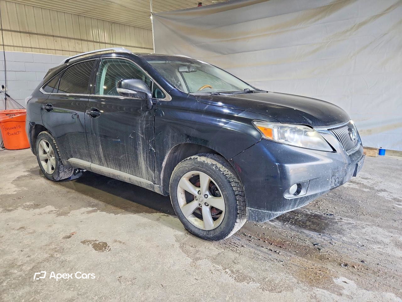 Lexus RX 2010