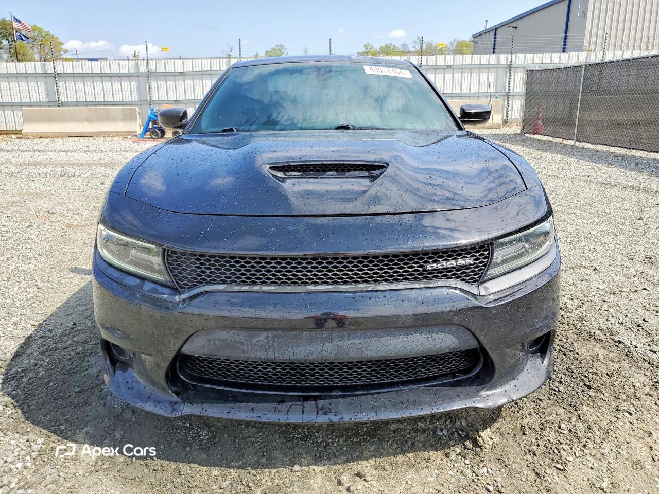 Dodge Charger 2019