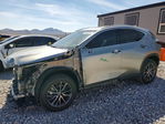 Lexus NX 2024