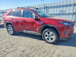 Toyota RAV 4 2021