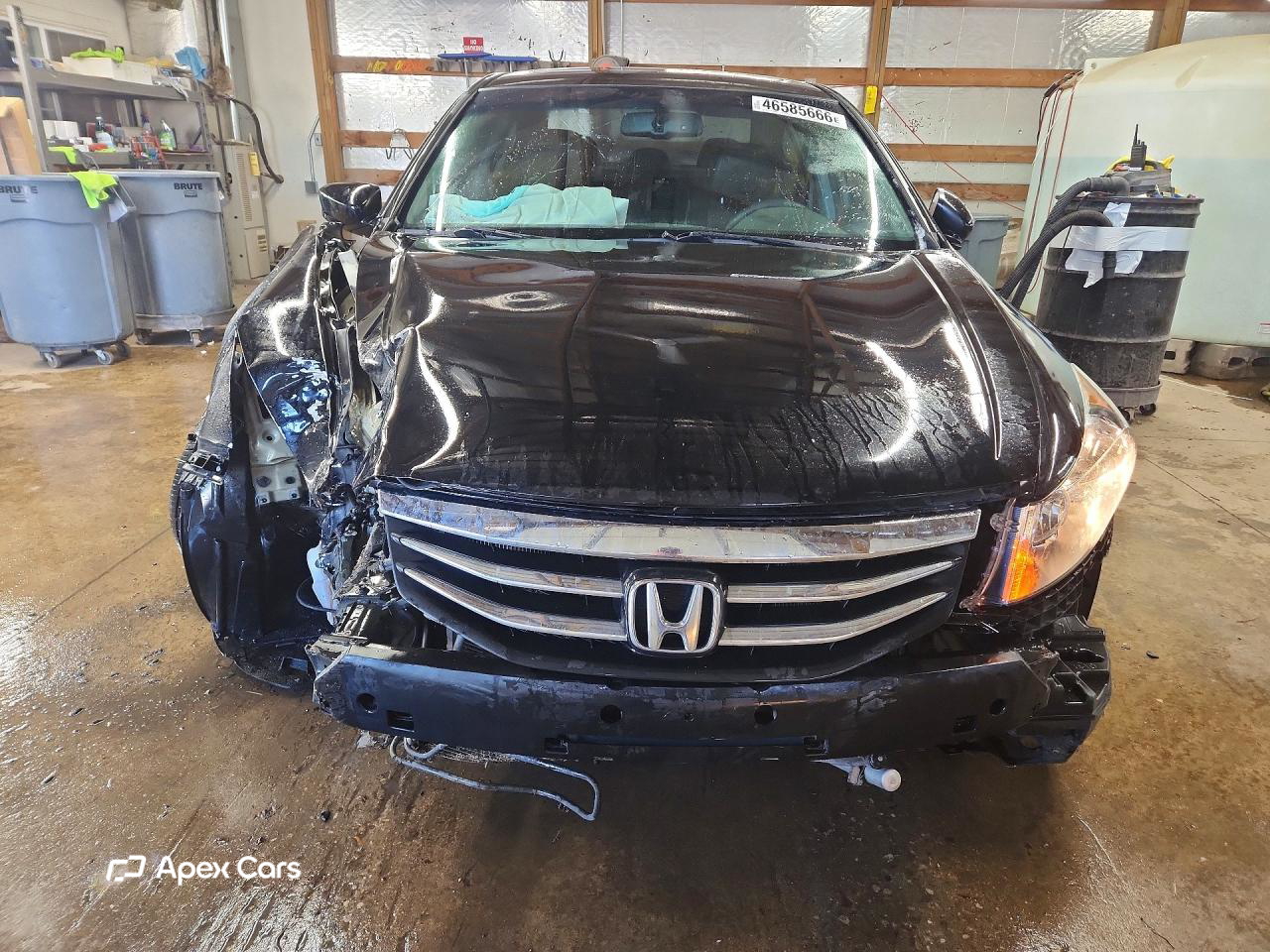 Honda Accord 2011