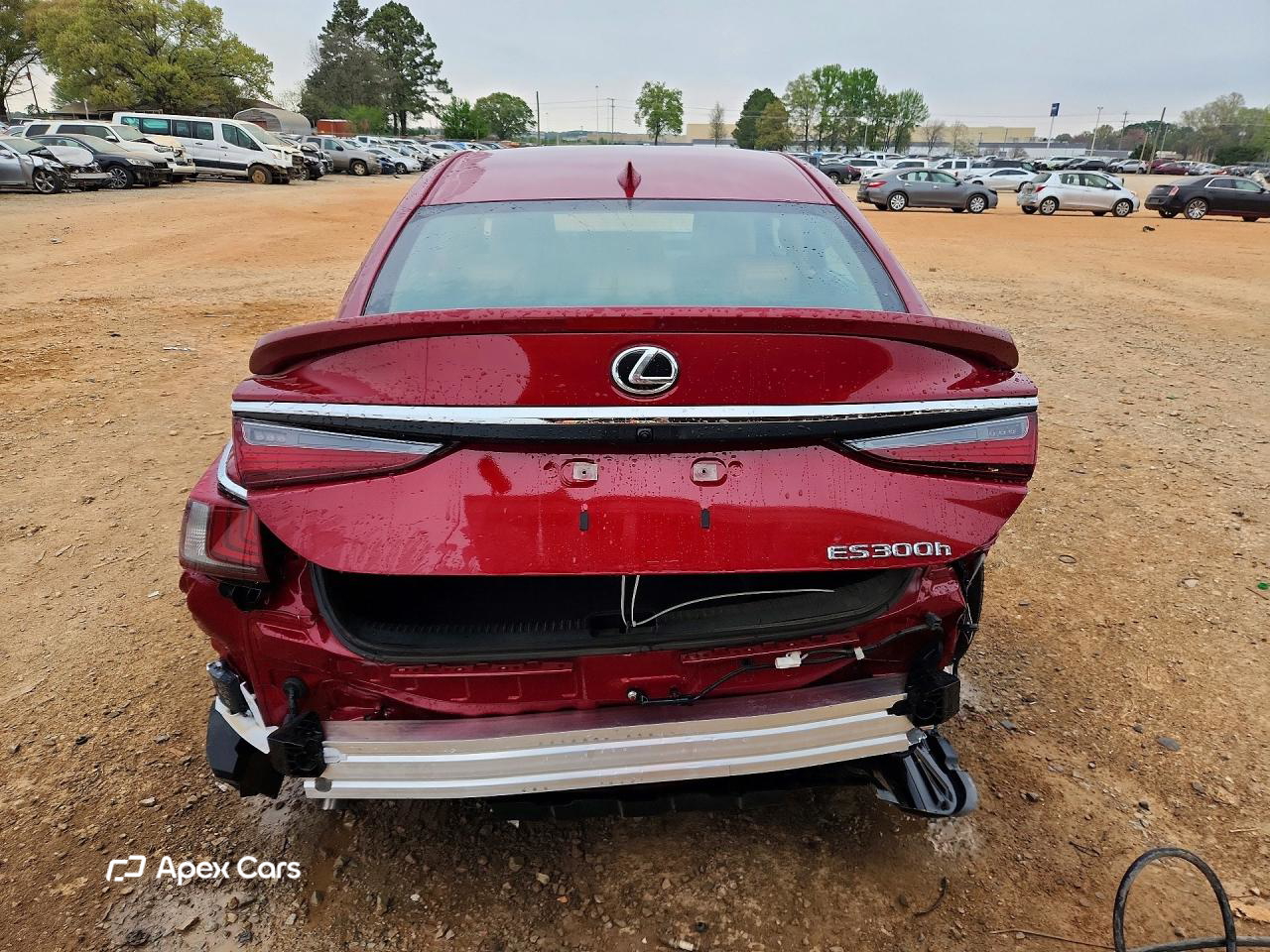 Lexus ES 2024