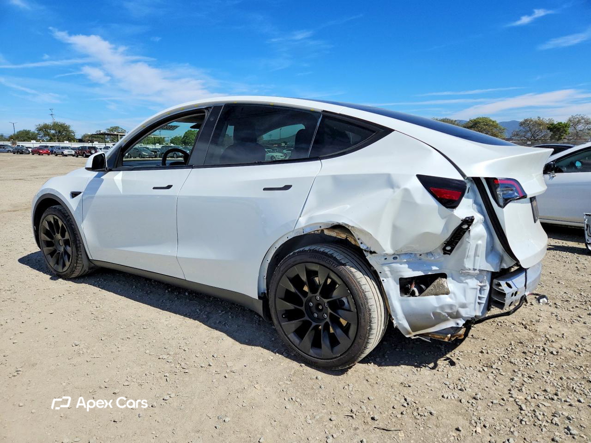 Tesla Model Y 2021