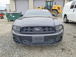 Ford Mustang 2014