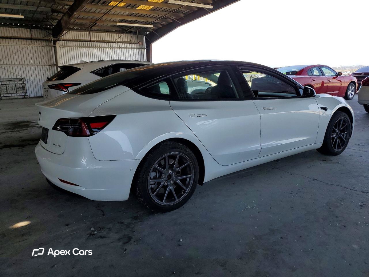 Tesla Model 3 2019