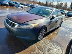 Honda Accord 2010