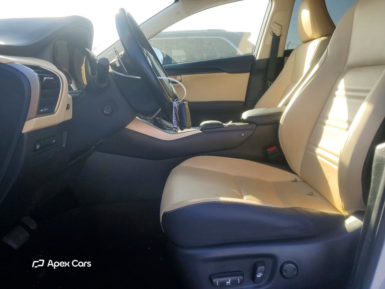 Lexus NX 2020