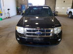 Ford Escape 2011