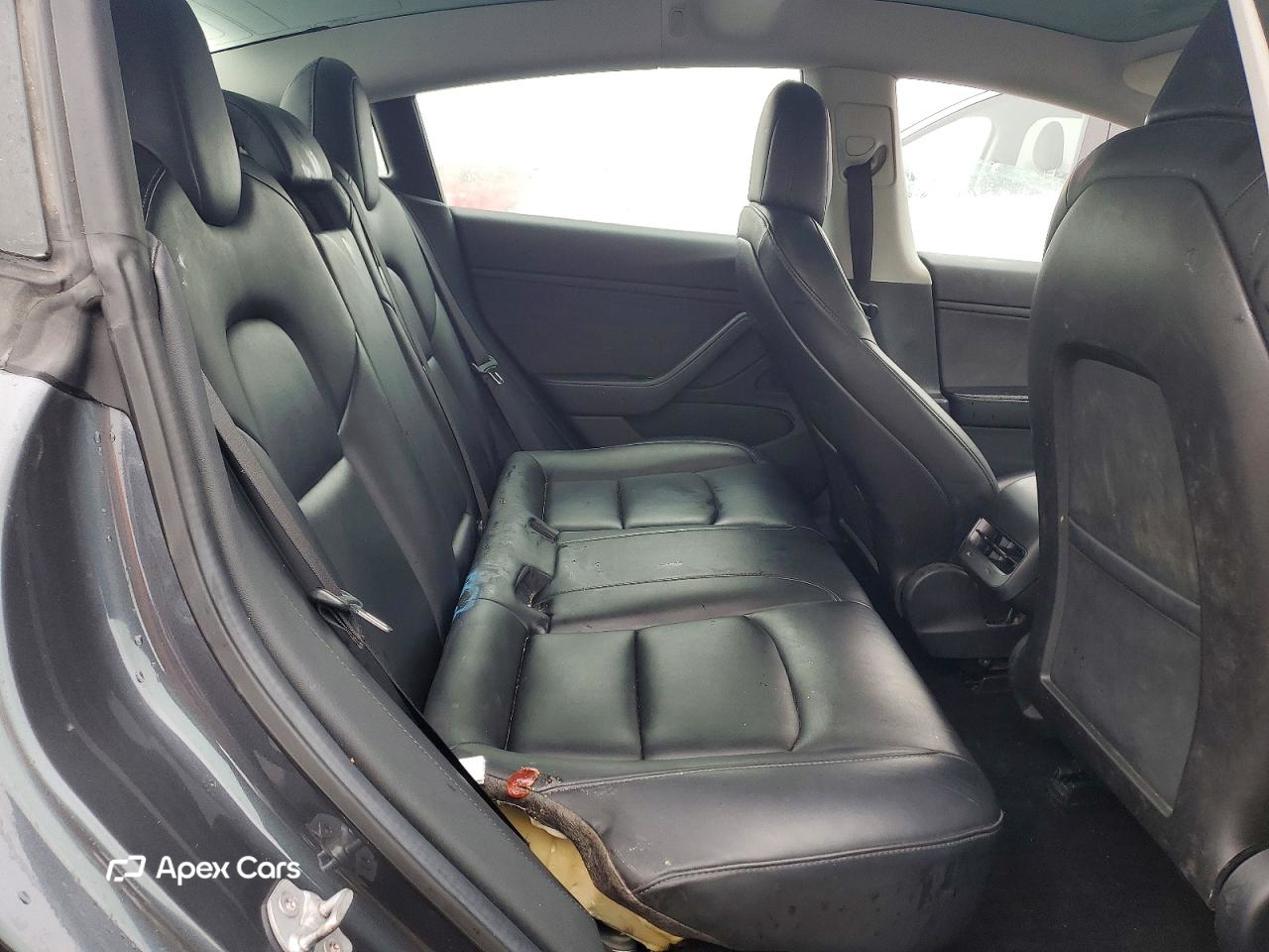 Tesla Model 3 2019