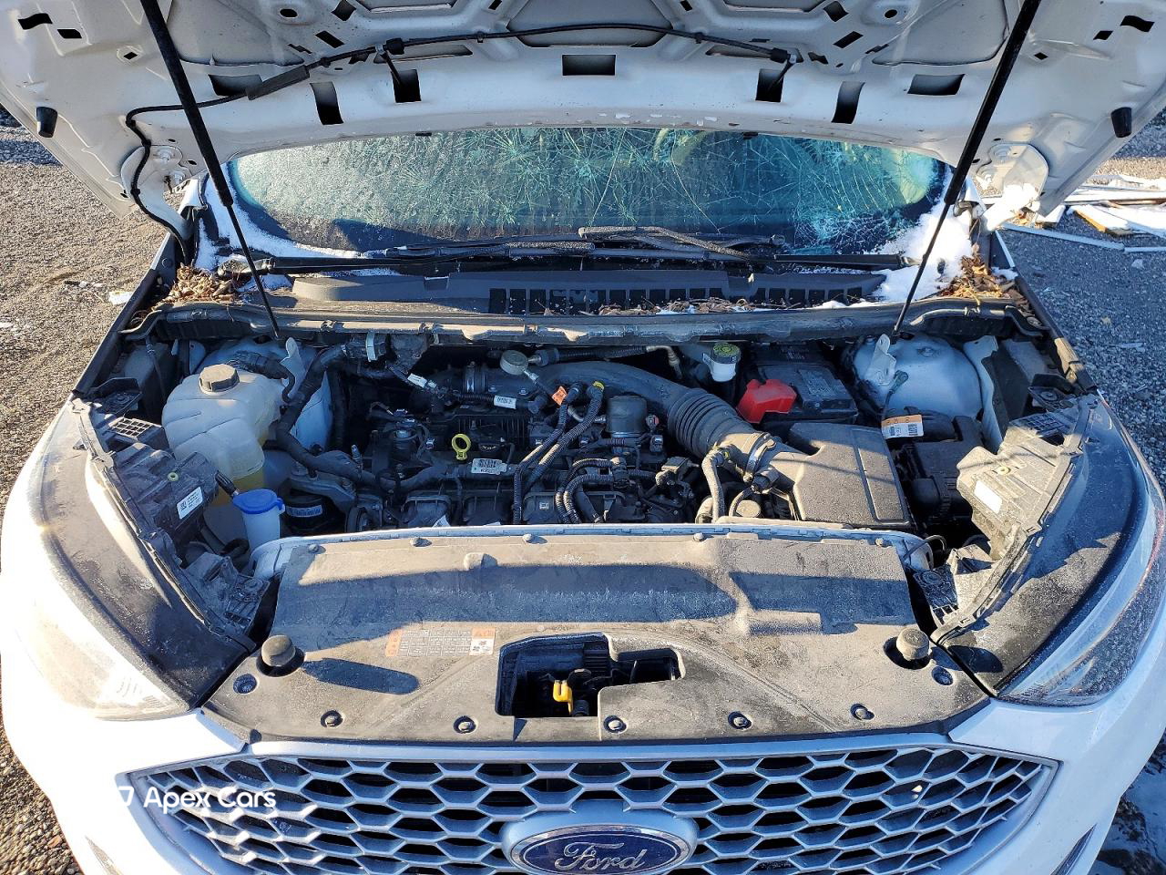 Ford Edge 2024