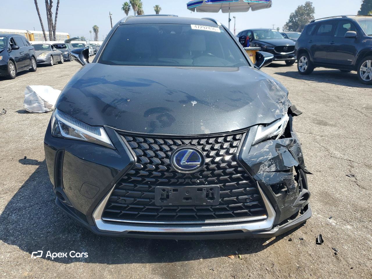 Lexus UX 2021