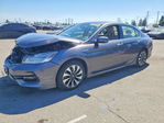 Honda Accord 2017