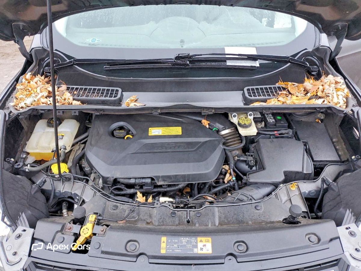 Ford Escape 2013