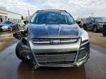 Ford Escape 2016