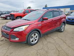 Ford Escape 2013