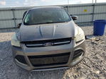 Ford Escape 2013