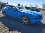 Ford Mustang 2013