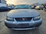 Ford Mustang 2004