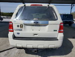 Ford Escape 2010