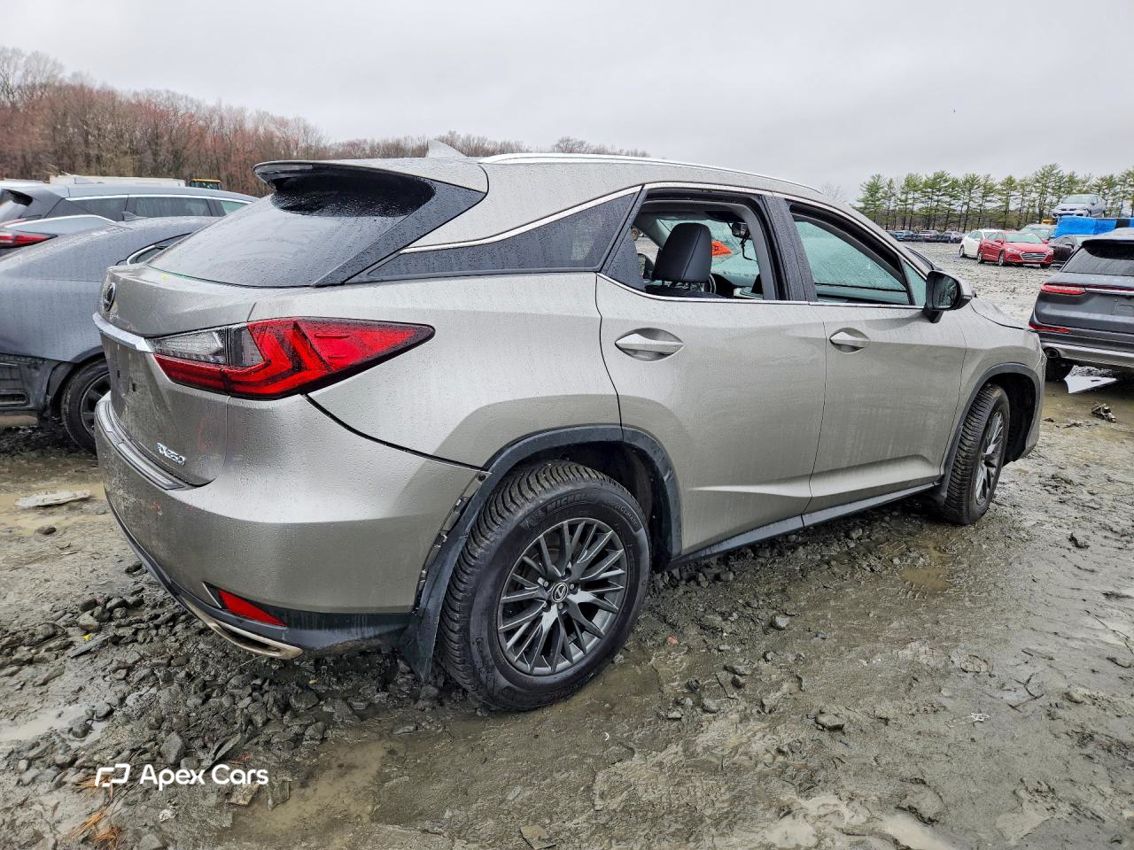 Lexus RX 2020