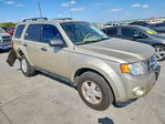 Ford Escape 2011