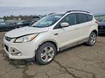 Ford Escape 2015
