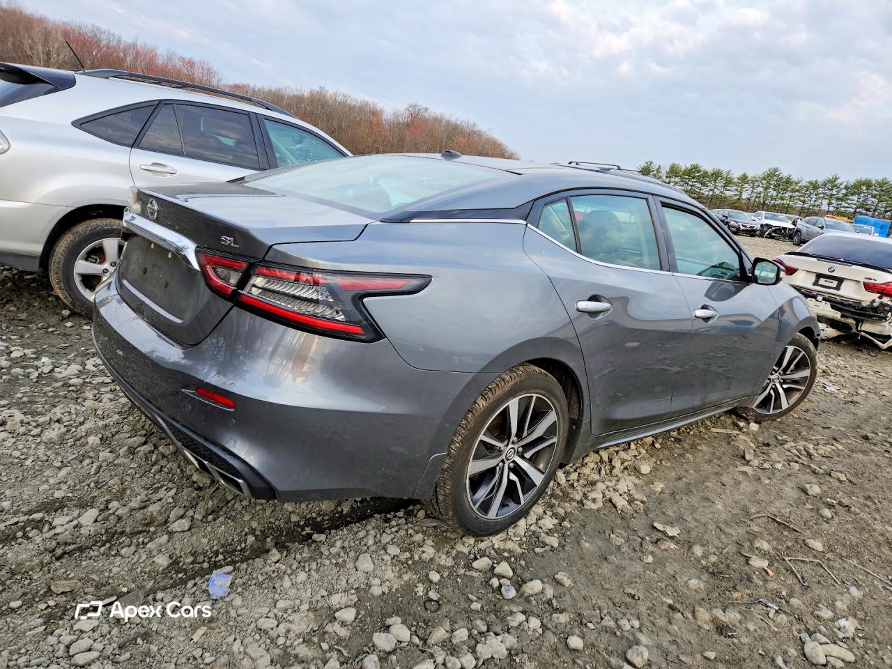 Nissan Maxima 2019