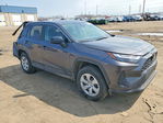 Toyota RAV 4 2024