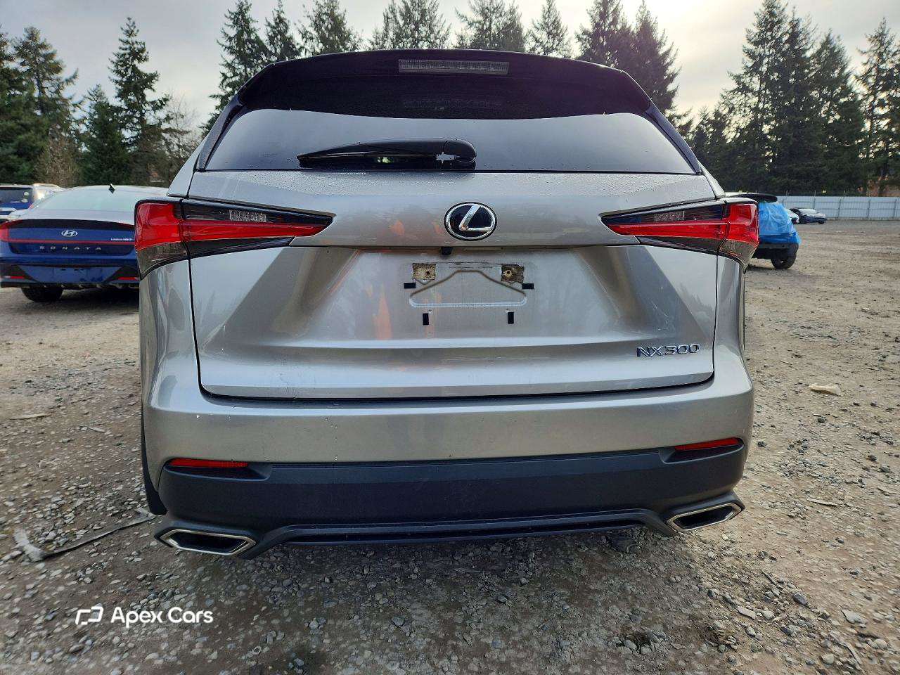 Lexus NX 2021