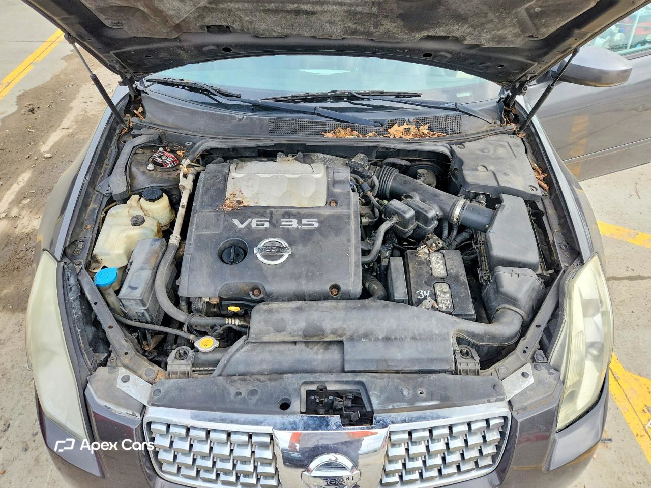 Nissan Maxima 2006