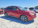 Lexus RX 2010