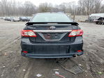 Toyota Corolla 2011