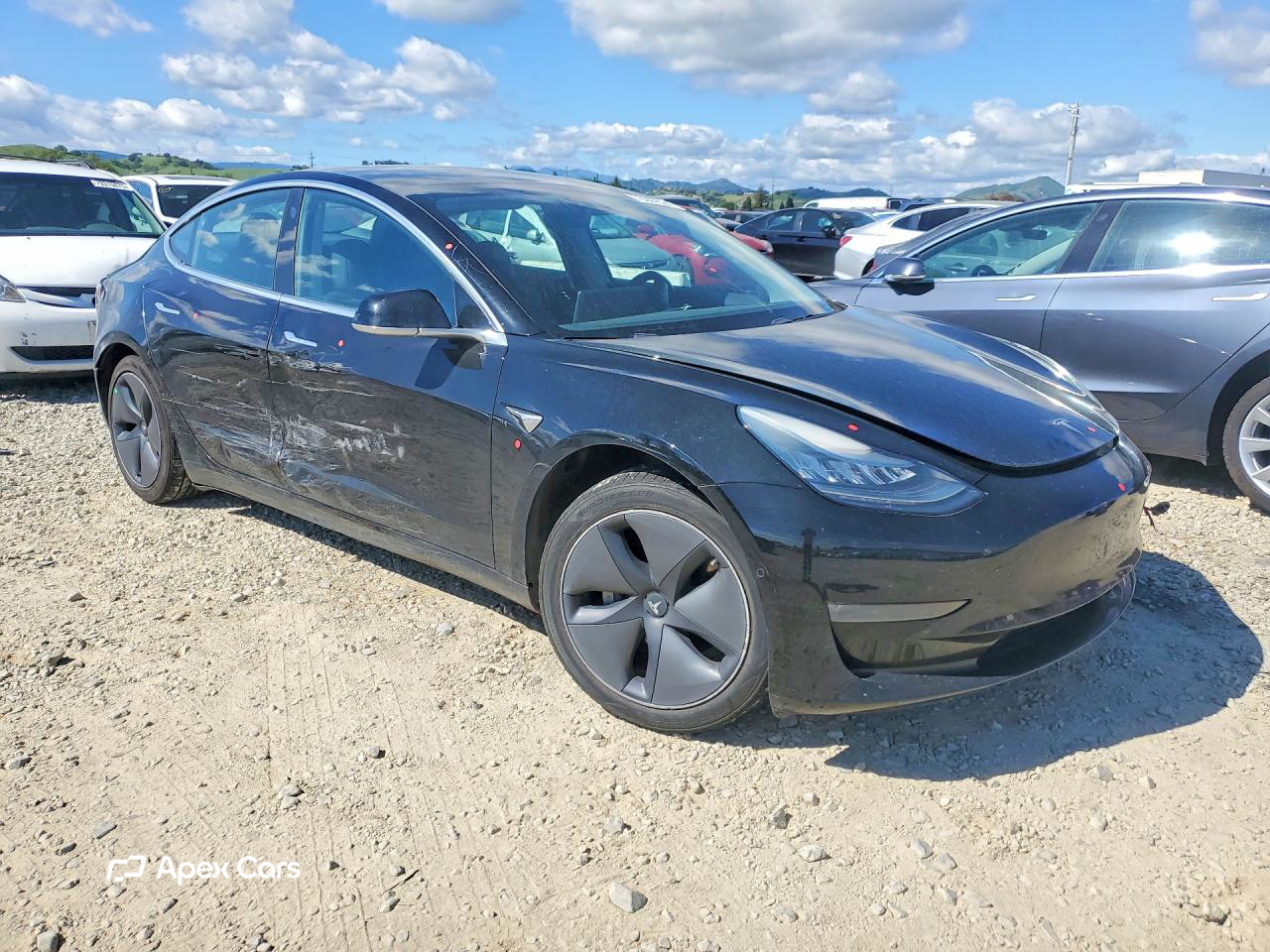 Tesla Model 3 2019
