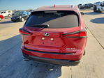 Lexus NX 2021